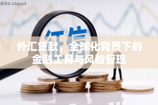 松溪外汇贷款，全球化背景下的金融工具与风险管理