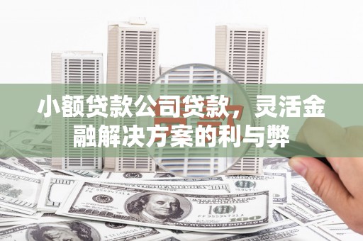 松溪小额贷款公司贷款，灵活金融解决方案的利与弊