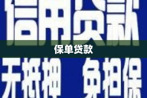 松溪保单贷款